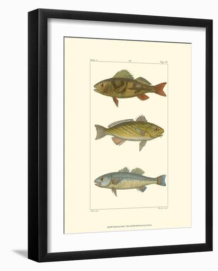 Freshwater Fish I-null-Framed Art Print