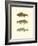 Freshwater Fish I-null-Framed Art Print