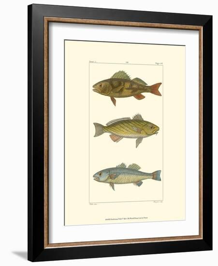 Freshwater Fish I-null-Framed Art Print