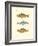 Freshwater Fish II-null-Framed Art Print