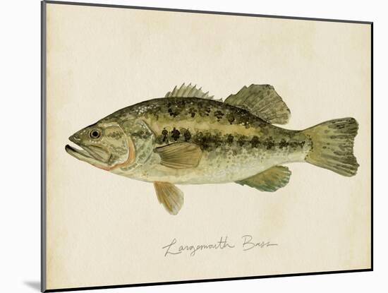 Freshwater Fish Study III-Victoria Barnes-Mounted Art Print