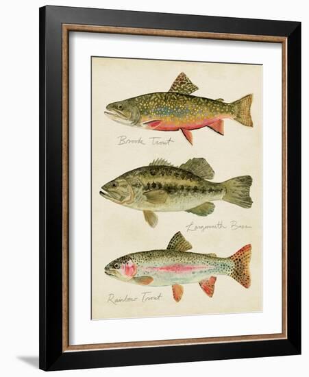 Freshwater Fish Study IV-Victoria Barnes-Framed Art Print