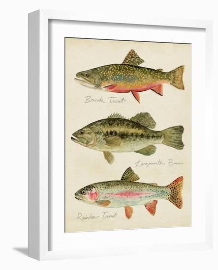 Freshwater Fish Study IV-Victoria Barnes-Framed Art Print