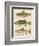 Freshwater Fish Study IV-Victoria Barnes-Framed Art Print