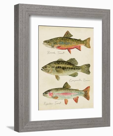 Freshwater Fish Study IV-Victoria Barnes-Framed Art Print