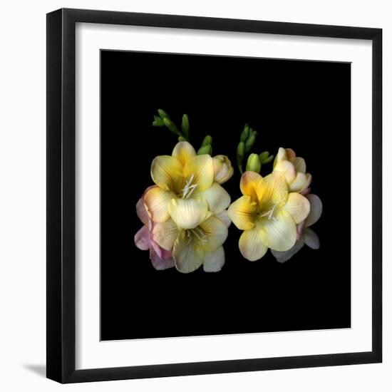 Fressia Pair-Magda Indigo-Framed Photographic Print