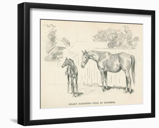 Friar's Daughter - Foal by Blenheim-Lionel Edwards-Framed Premium Giclee Print