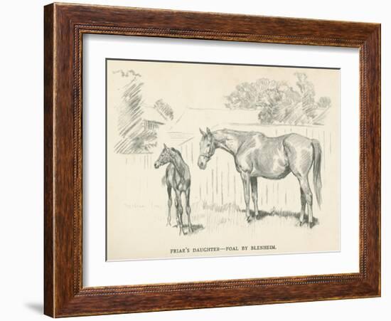 Friar's Daughter - Foal by Blenheim-Lionel Edwards-Framed Premium Giclee Print