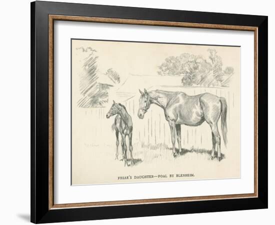 Friar's Daughter - Foal by Blenheim-Lionel Edwards-Framed Premium Giclee Print