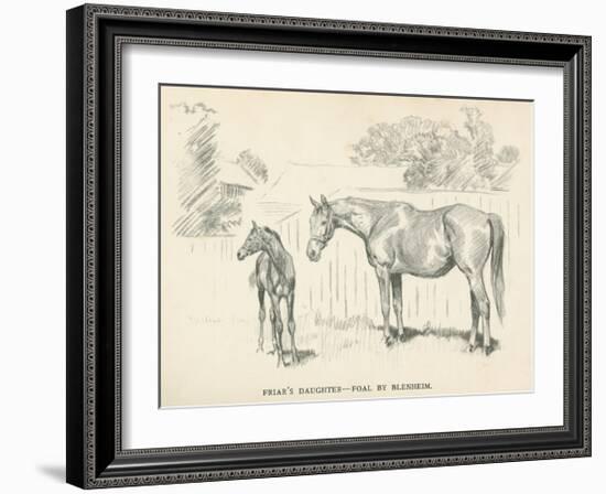 Friar's Daughter - Foal by Blenheim-Lionel Edwards-Framed Premium Giclee Print