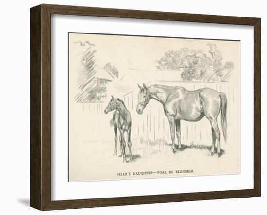 Friar's Daughter - Foal by Blenheim-Lionel Edwards-Framed Premium Giclee Print