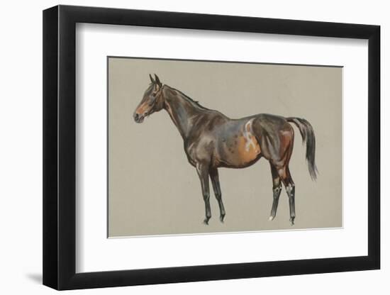 Friar's Daughter-Lionel Edwards-Framed Premium Giclee Print