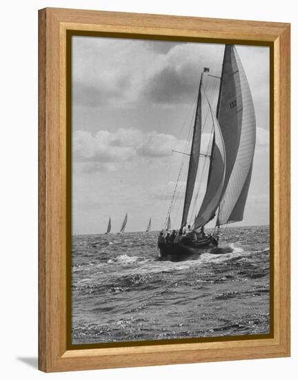 Friday Race Underway from Newport, Rhode Island to Vineyard Haven, Massachusetts-Walter Sanders-Framed Premier Image Canvas