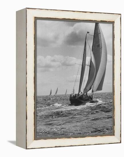 Friday Race Underway from Newport, Rhode Island to Vineyard Haven, Massachusetts-Walter Sanders-Framed Premier Image Canvas