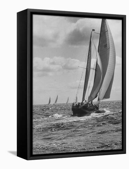 Friday Race Underway from Newport, Rhode Island to Vineyard Haven, Massachusetts-Walter Sanders-Framed Premier Image Canvas