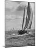 Friday Race Underway from Newport, Rhode Island to Vineyard Haven, Massachusetts-Walter Sanders-Mounted Photographic Print