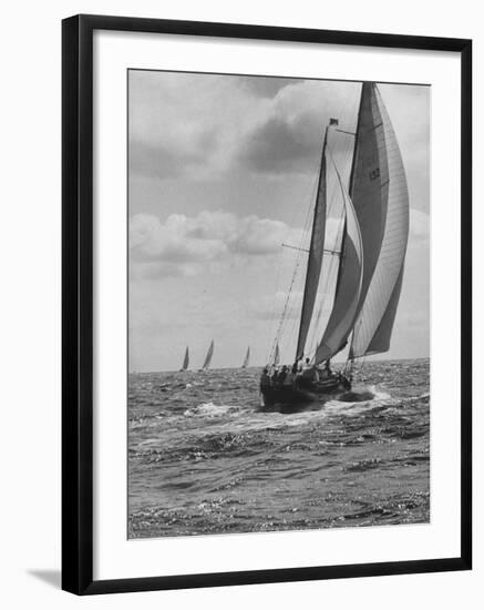 Friday Race Underway from Newport, Rhode Island to Vineyard Haven, Massachusetts-Walter Sanders-Framed Photographic Print