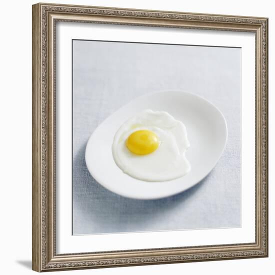 Fried Egg-David Munns-Framed Premium Photographic Print