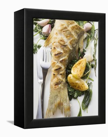 Fried Sea Bass with Herbs, Garlic and Lemon-null-Framed Premier Image Canvas