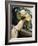 Frieda, the Artist's Wife, Leaning over the Balcony-Leo Putz-Framed Giclee Print