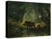Stretched Canvas Print