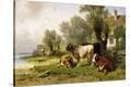 Stretched Canvas Print