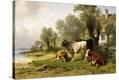 Stretched Canvas Print