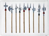 Lances, spears, halberds and partisanes, 1842-Friedrich Martin von Reibisch-Framed Giclee Print