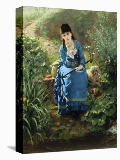 Stretched Canvas Print, , large