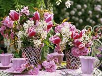 Vases of Pink Tulips and Blossom on Table Laid for Coffee-Friedrich Strauss-Photographic Print