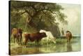 Stretched Canvas Print