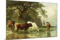 Giclee Print