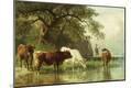 Giclee Print