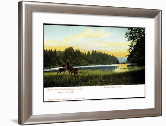 Friedrichsbrunn I. Harz, Bergrath Müller's Teich, Hirsche-null-Framed Giclee Print