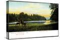 Stretched Canvas Print