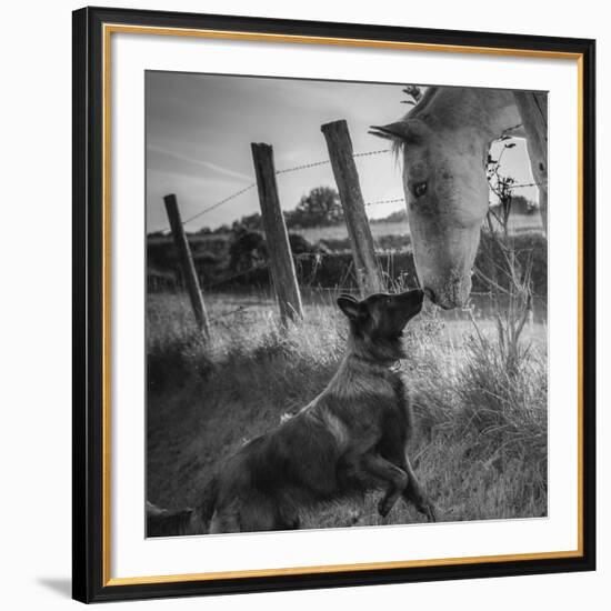 Friend's Kiss ;-)-null-Framed Giclee Print