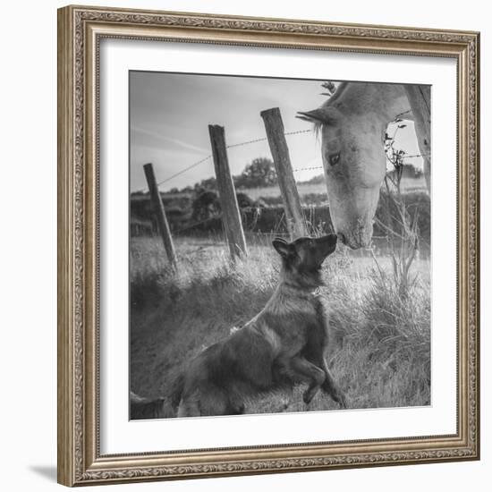 Friend's Kiss ;-)-Christophe-Framed Photographic Print