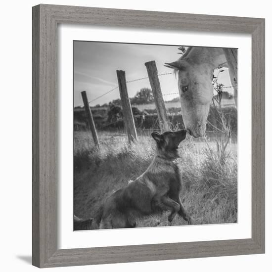 Friend's Kiss ;-)-Christophe-Framed Photographic Print