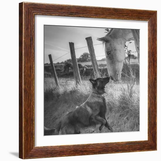 Friend's Kiss ;-)-Christophe-Framed Photographic Print