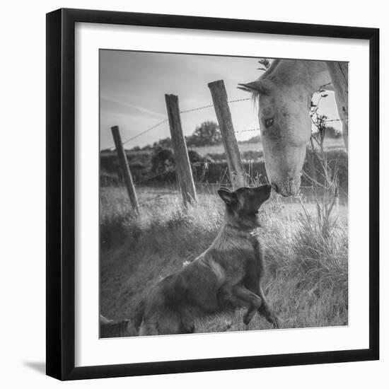 Friend's Kiss ;-)-Christophe-Framed Photographic Print