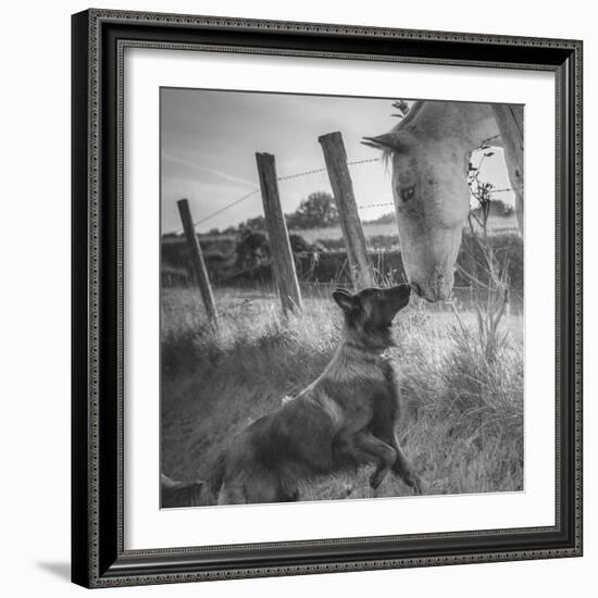 Friend's Kiss ;-)-Christophe-Framed Photographic Print