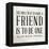 Friend-null-Framed Stretched Canvas