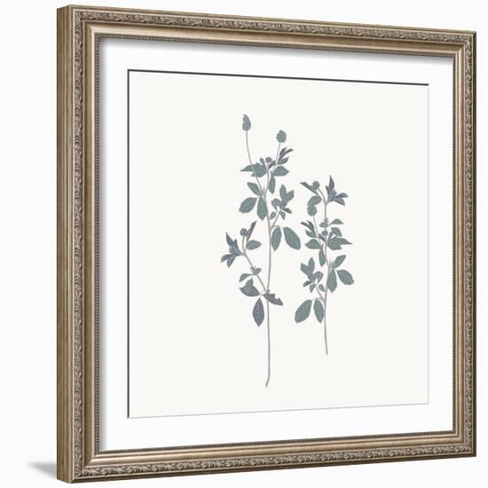 Friendly Fresh Clover-Sweet Melody Designs-Framed Art Print