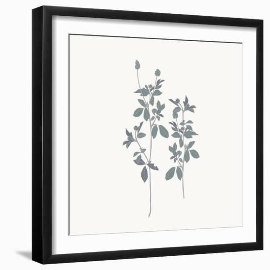 Friendly Fresh Clover-Sweet Melody Designs-Framed Art Print