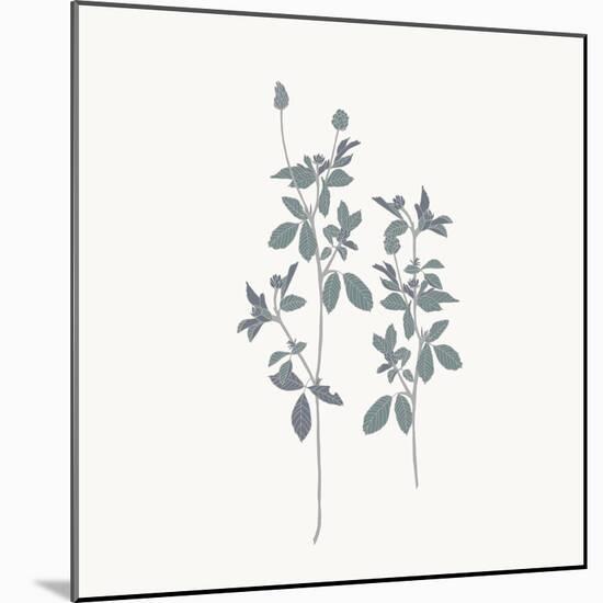 Friendly Fresh Clover-Sweet Melody Designs-Mounted Art Print