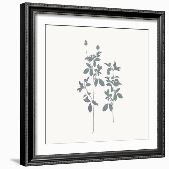 Friendly Fresh Clover-Sweet Melody Designs-Framed Art Print