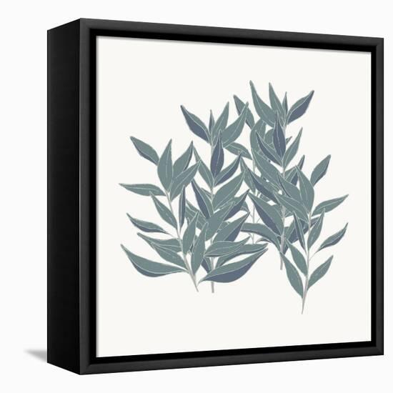 Friendly Fresh Sage-Sweet Melody Designs-Framed Stretched Canvas