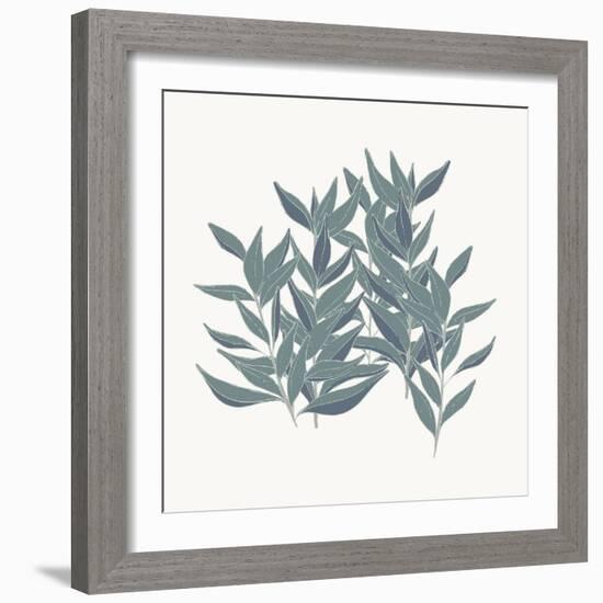 Friendly Fresh Sage-Sweet Melody Designs-Framed Art Print