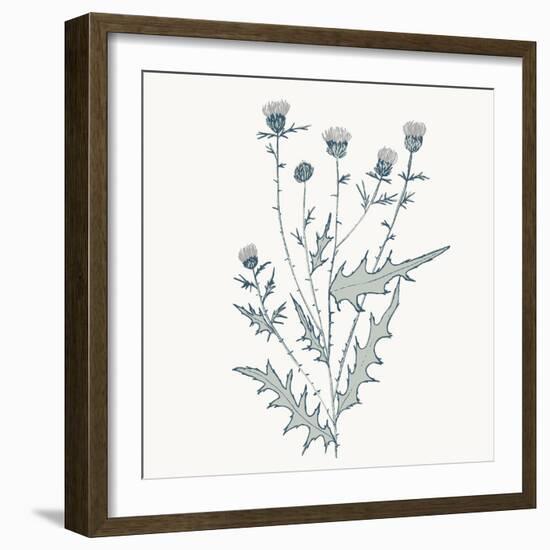 Friendly Fresh Thistle-Sweet Melody Designs-Framed Art Print