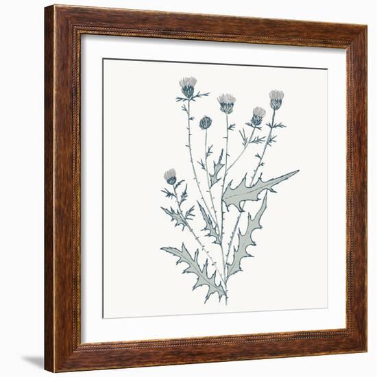 Friendly Fresh Thistle-Sweet Melody Designs-Framed Art Print